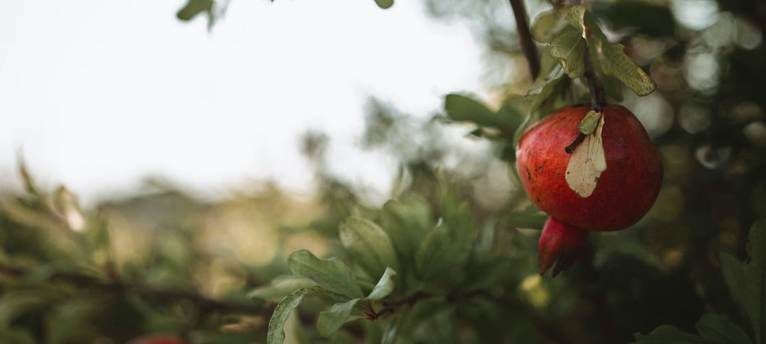 Démystifier le péché