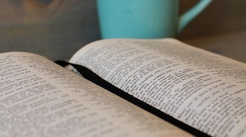 Cómo Leer La Biblia en un Año