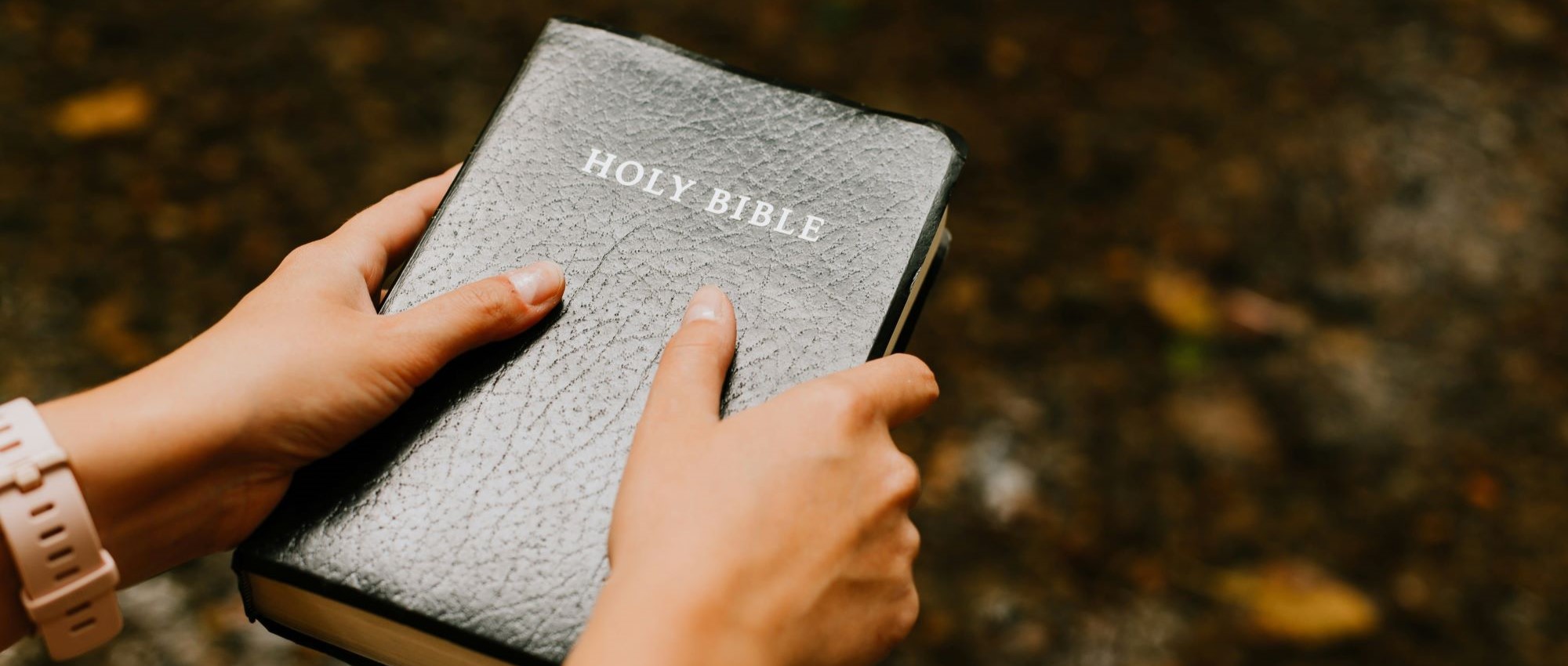 Seeing the Gospel in the Word of God