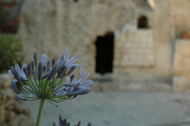 Términos Bíblicos: La Pascua de Resurrección