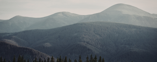 Three Sure Ways to Overcome Anxiety