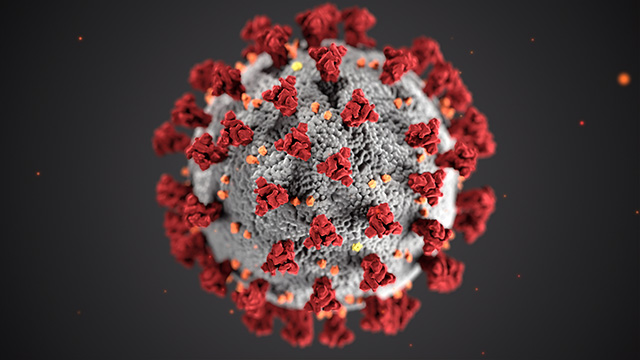 Why Is The Coronavirus Happening?