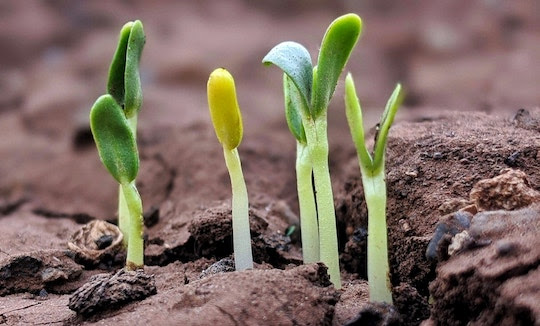 Practical Things People Can Do to Grow in Their Faith